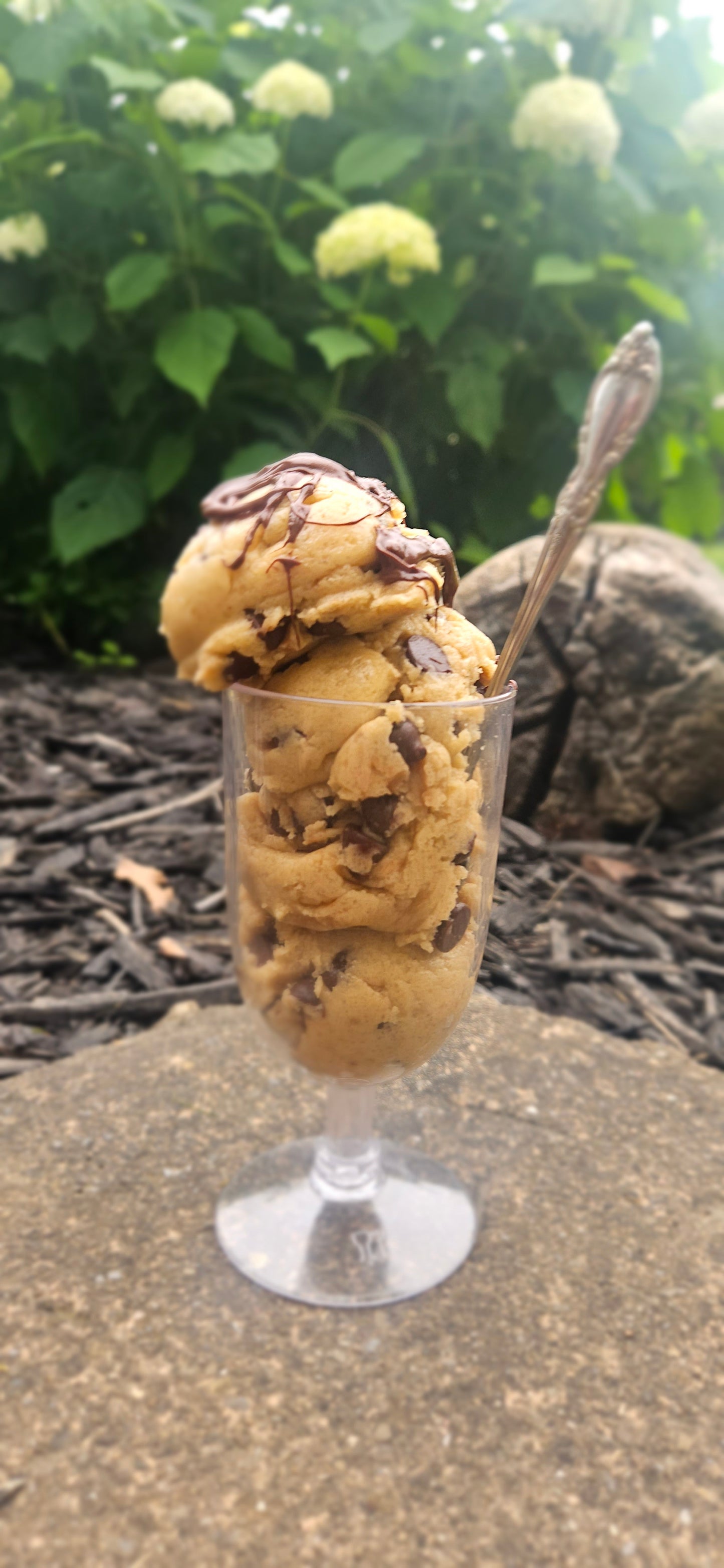 Edible Chocolate Chip Cookie Dough