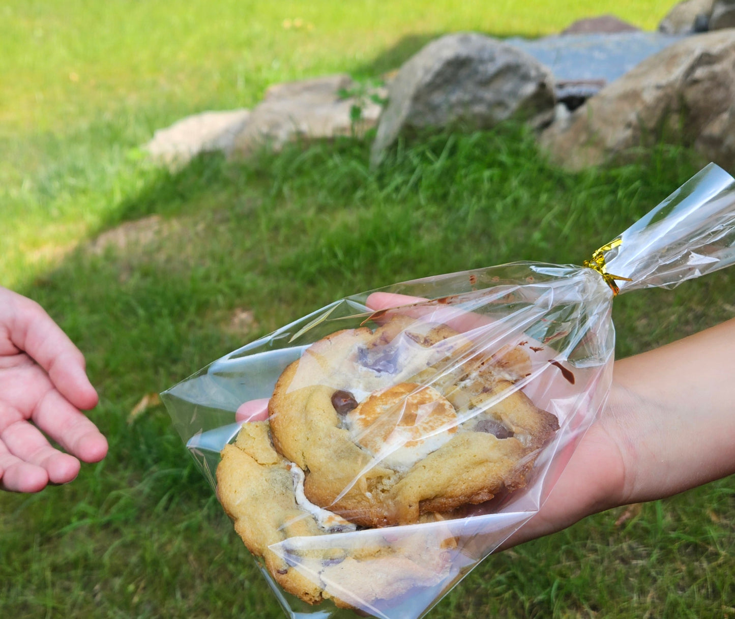 4-pack S'mores Flavored Cookie