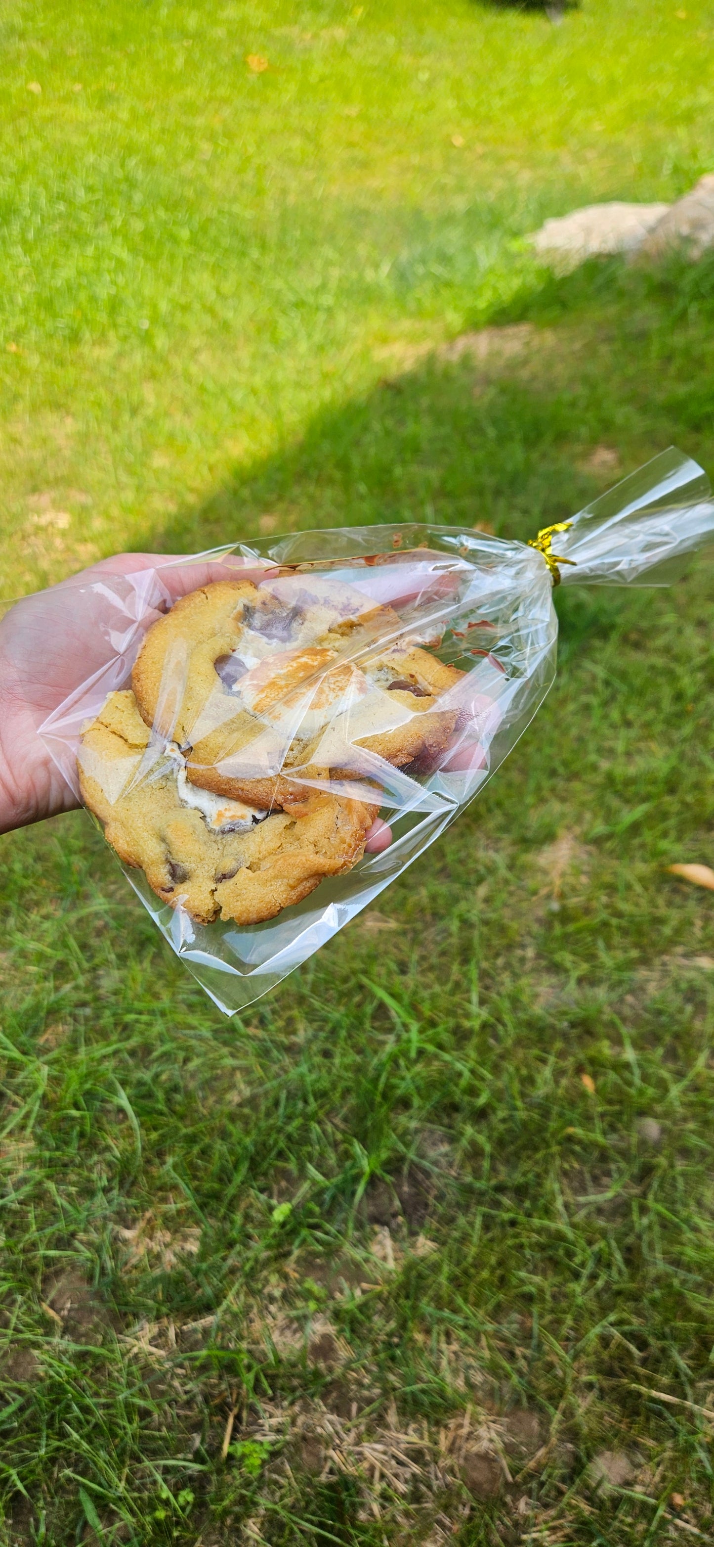 A dozen S'mores Flavored Cookies